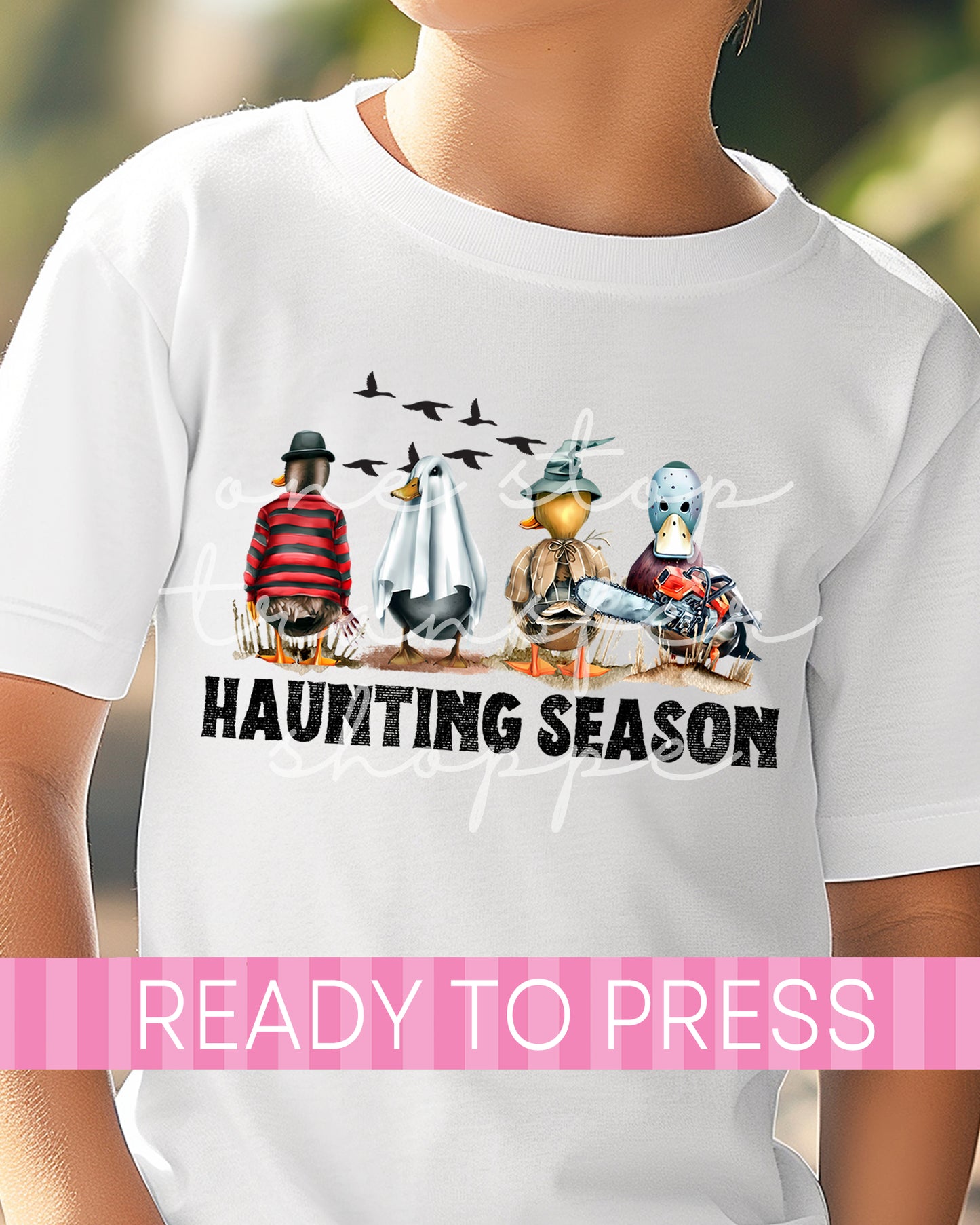 Duck Friends Haunting Season - Ready to Press DTF Transfers