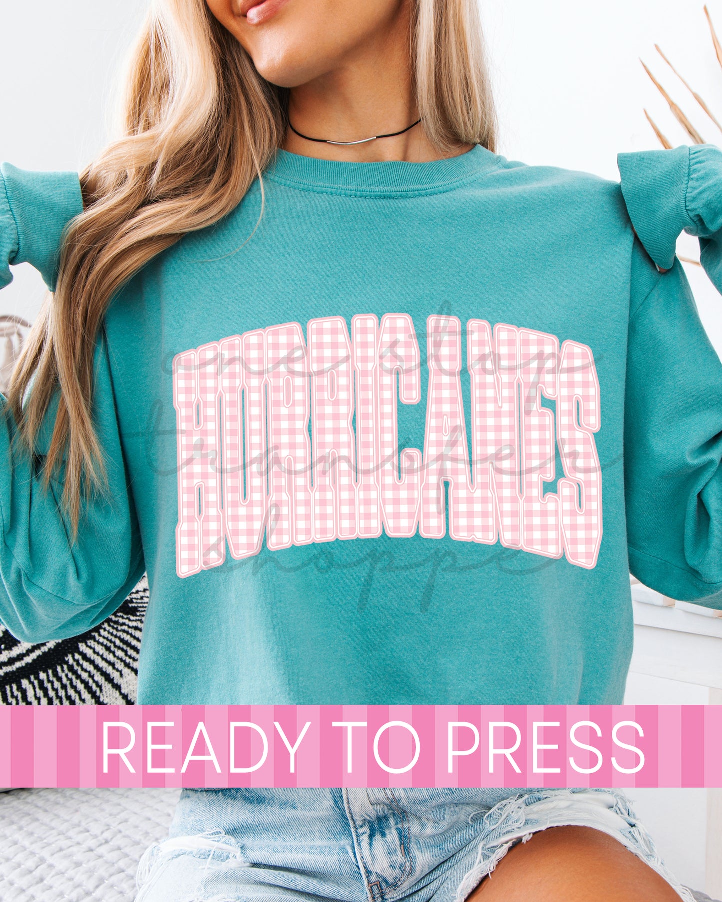 Preppy Pink Gingham Hurricanes Mascot - Ready to Press DTF Transfers