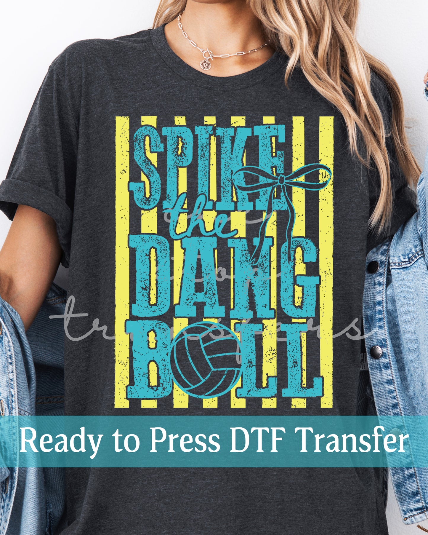 Retro Volleyball Spike The Dang Ball - Ready to Press DTF Transfers