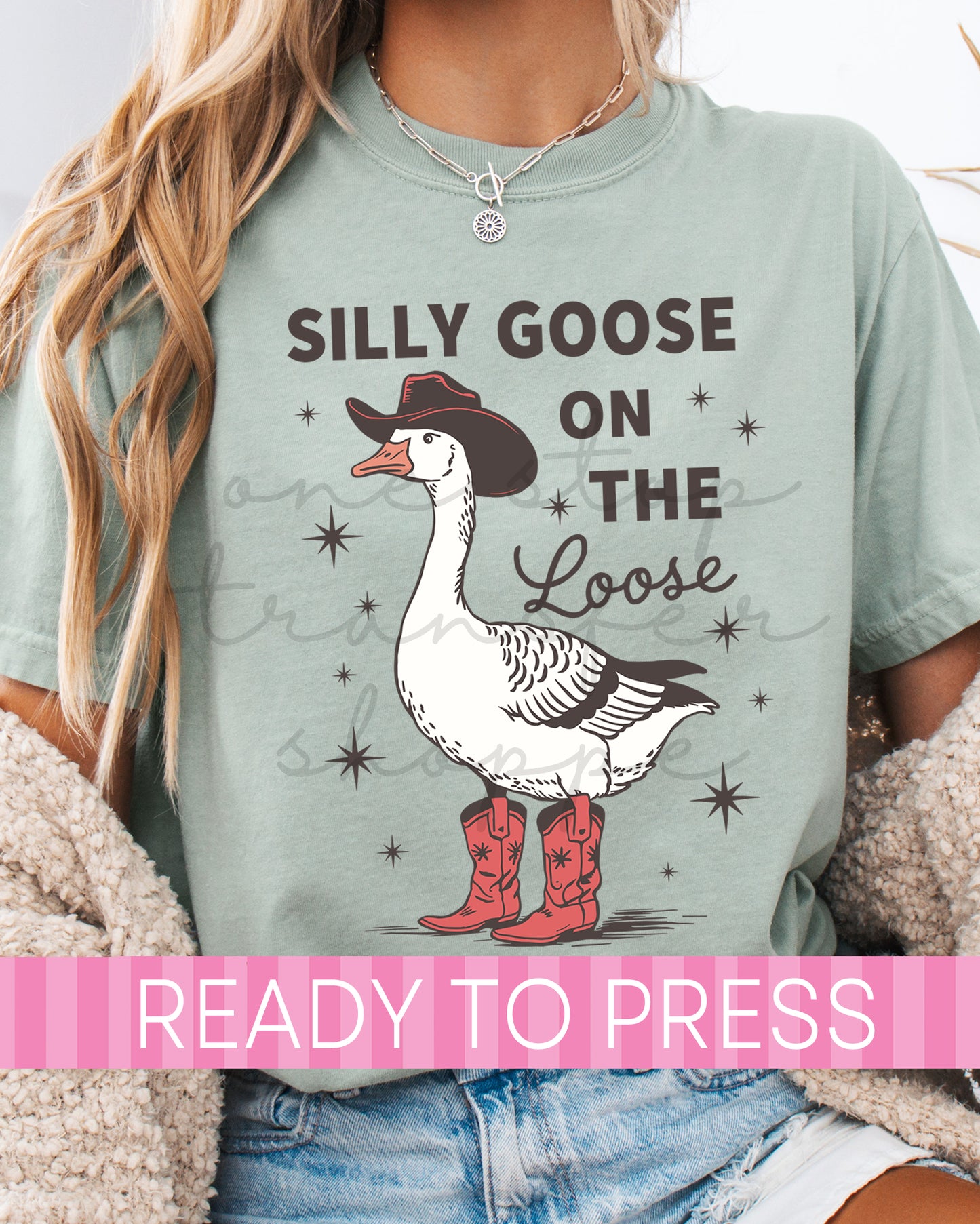 Silly Goose On The Loose - Ready to Press DTF Transfers