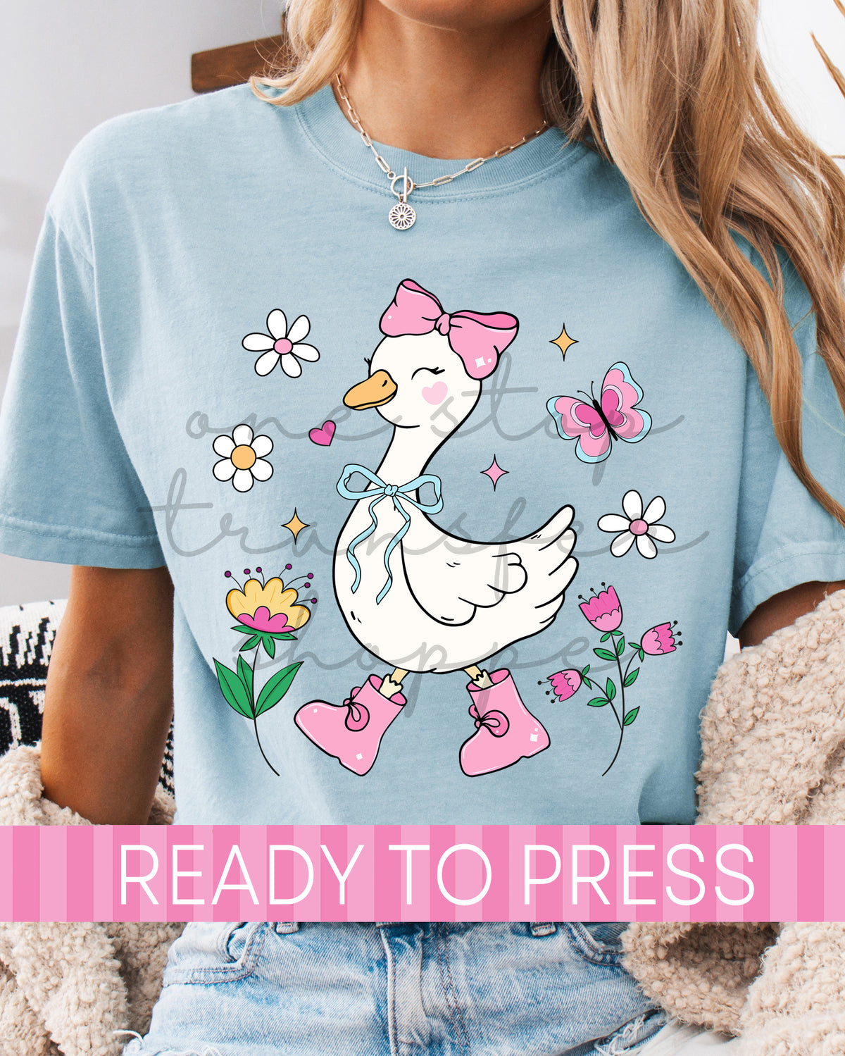 Preppy Spring Coquette Goose - Ready to Press DTF Transfers
