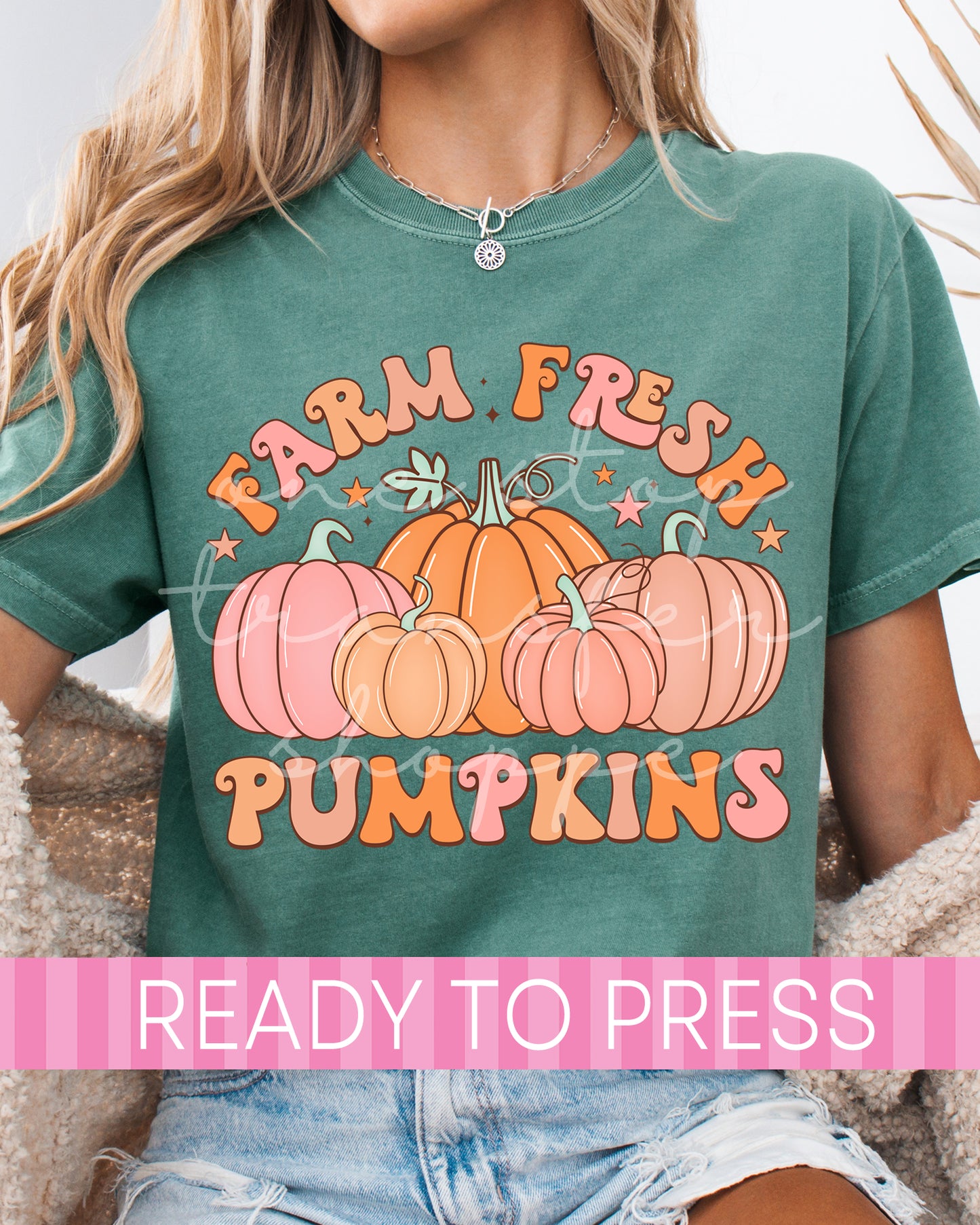 Pastel Fresh Farm Pumpkins - Ready to Press DTF Transfers