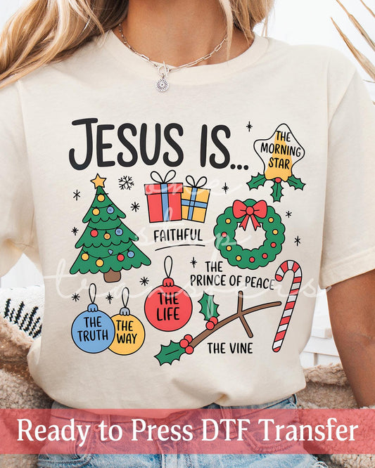 Jesus Is The Reason The Truth The Way The Life Christmas Collage- Ready to Press DTF Transfers