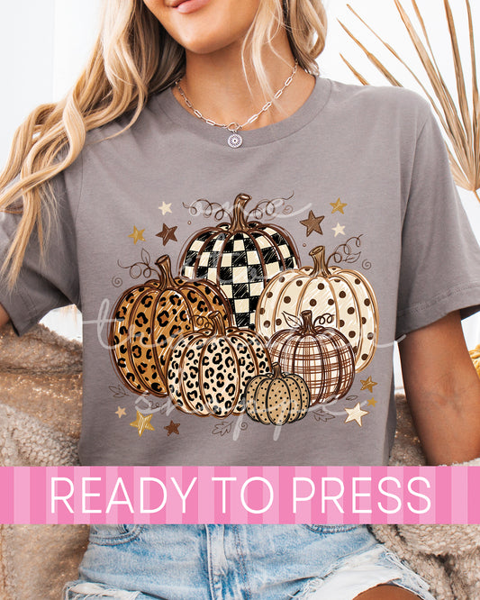 Checker Leopard Whimsy Pumpkins - Ready to Press DTF Transfers