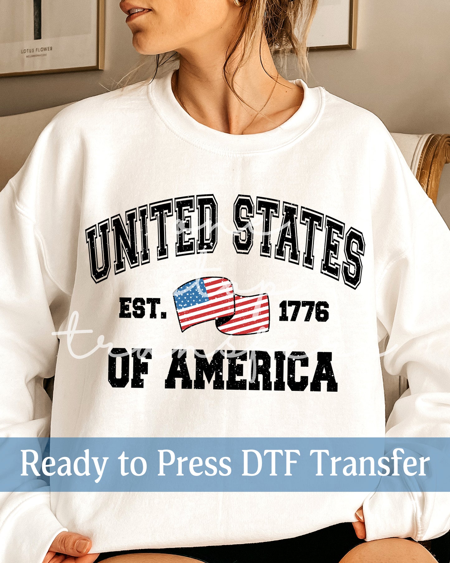 United States Of America - Ready to Press DTF Transfers